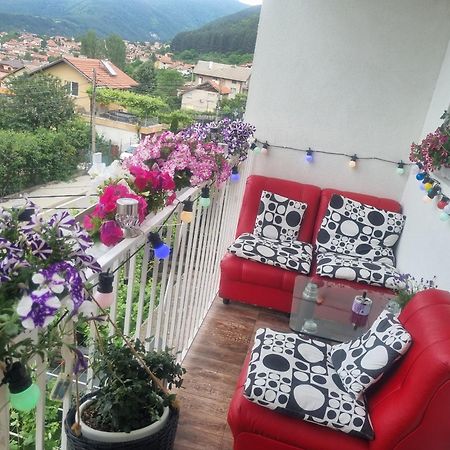 Guesthouse Jasmin 사파레바바냐 외부 사진
