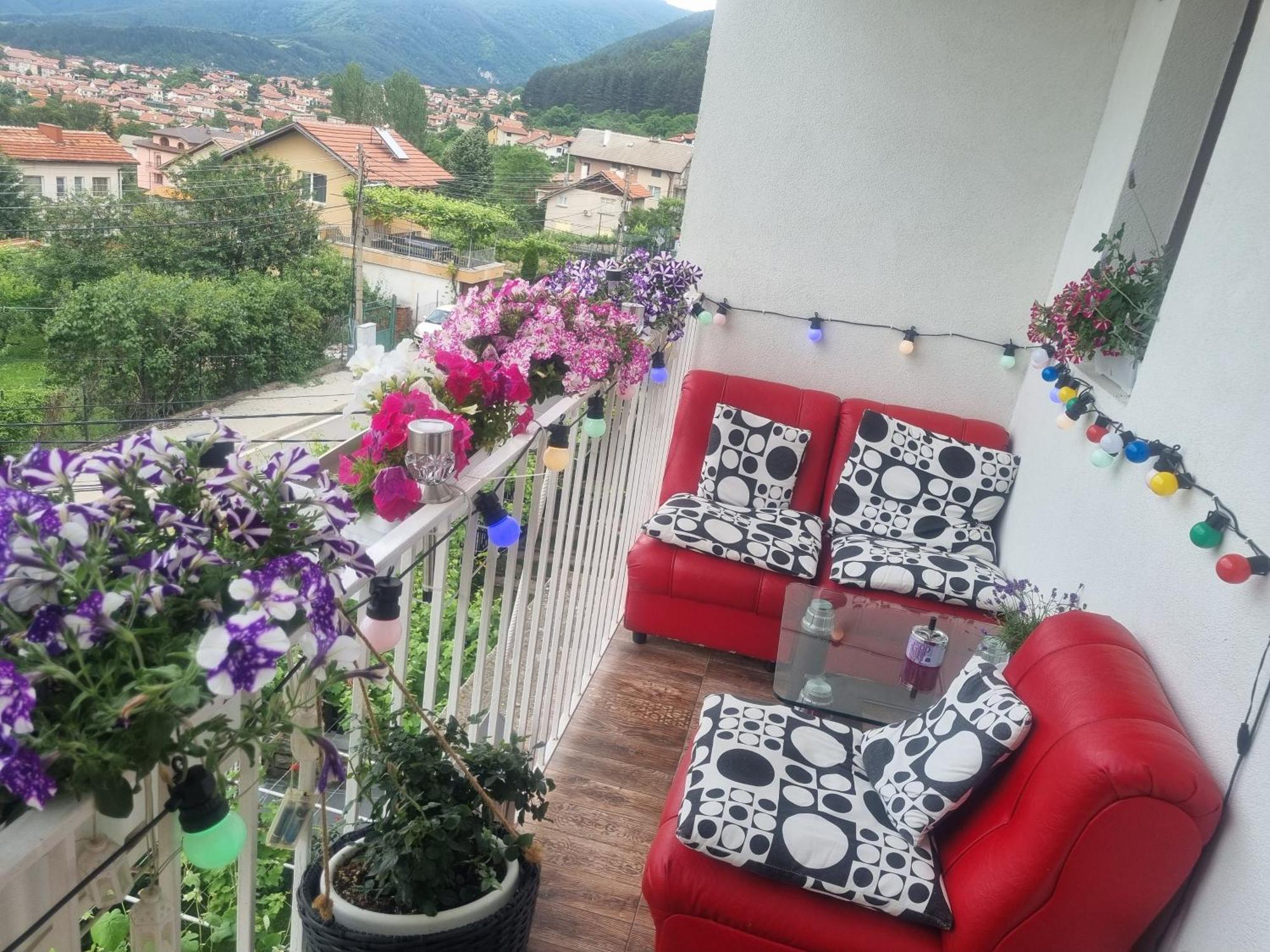 Guesthouse Jasmin 사파레바바냐 외부 사진